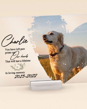 You Have Left Paw Prints On Our Hearts - Personalized Acrylic Photo Plaque