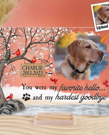 You Were My Favorite Hello And My Hardest Goodbye - Personalized Acrylic Photo Plaque